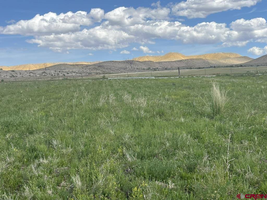 TBD Lot 1&2 Racine Road, Montrose, CO 81401