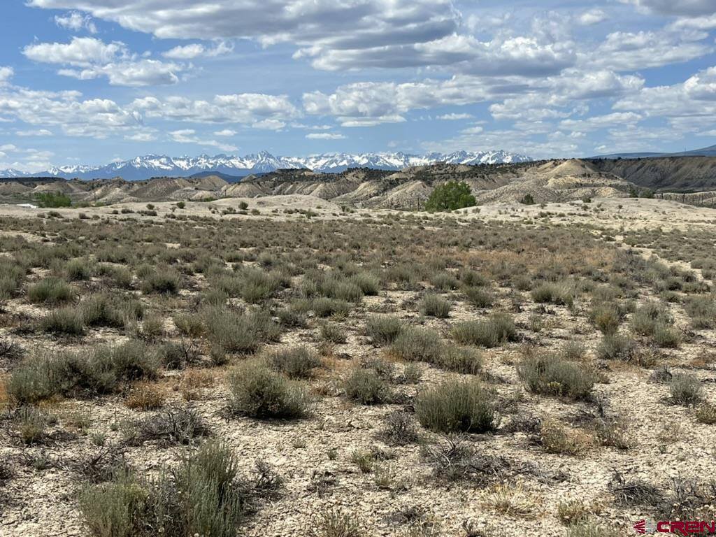 TBD Lot 1&2 Racine Road, Montrose, CO 81401