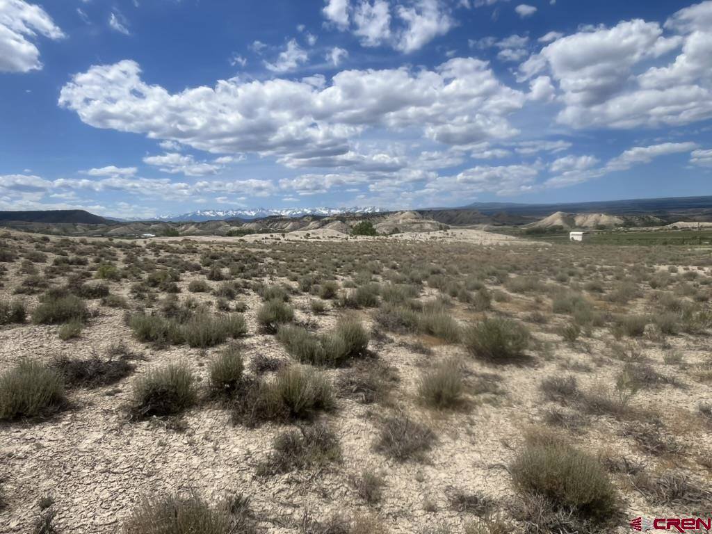 TBD Lot 1&2 Racine Road, Montrose, CO 81401