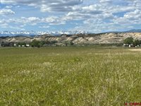 TBD Lot 1&2 Racine Road, Montrose, CO 81401