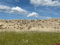 TBD Lot 1&2 Racine Road, Montrose, CO 81401
