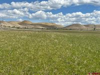 TBD Lot 1&2 Racine Road, Montrose, CO 81401