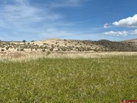 TBD Lot 1&2 Racine Road, Montrose, CO 81401