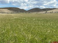 TBD Lot 1&2 Racine Road, Montrose, CO 81401