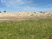 TBD Lot 1&2 Racine Road, Montrose, CO 81401