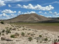 TBD Lot 1&2 Racine Road, Montrose, CO 81401