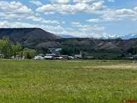 TBD Lot 1&2 Racine Road, Montrose, CO 81401