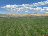 TBD Lot 1&2 Racine Road, Montrose, CO 81401