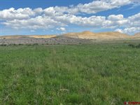 TBD Lot 1&2 Racine Road, Montrose, CO 81401