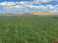 TBD Lot 1&2 Racine Road, Montrose, CO 81401