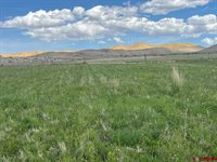 TBD Lot 1&2 Racine Road, Montrose, CO 81401