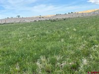 TBD Lot 1&2 Racine Road, Montrose, CO 81401