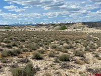 TBD Lot 1&2 Racine Road, Montrose, CO 81401