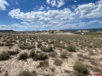 TBD Lot 1&2 Racine Road, Montrose, CO 81401