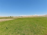 Lot 1&2 Racine Road, Montrose, CO 81401