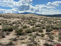 TBD Lot 1&2 Racine Road, Montrose, CO 81401