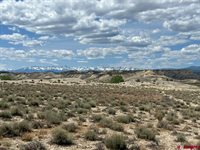TBD Lot 1&2 Racine Road, Montrose, CO 81401