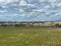 TBD Lot 1&2 Racine Road, Montrose, CO 81401