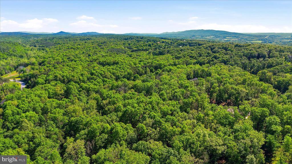 250 Creola Drive, Winchester, VA 22603