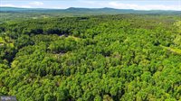 250 Creola Drive, Winchester, VA 22603