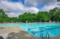 246 Mill House, Lexington, SC 29072