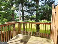 2662 Limestone Court, Winchester, VA 22601