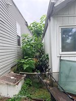 1033 East Saint Catherine St, Louisville, KY 40204
