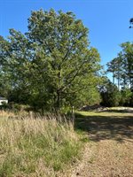 3806 McBryde Street, Linden, NC 28356