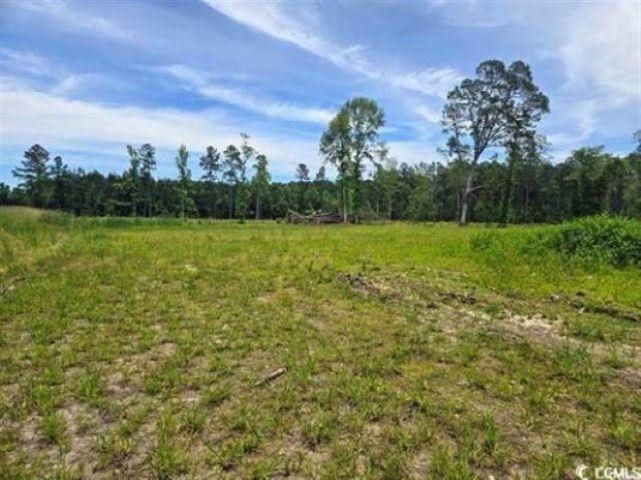 Mount Olive Church Rd., Green Sea, SC 29545
