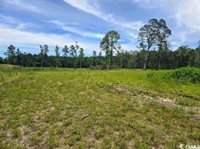 Mount Olive Church Rd., Green Sea, SC 29545