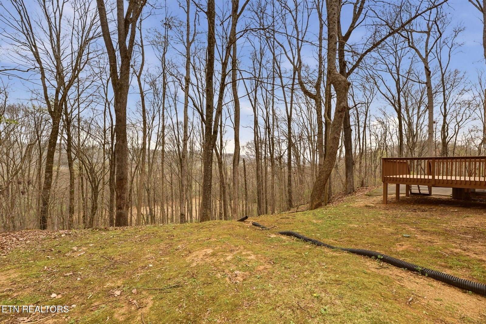 207 Strader Rd, Powell, TN 37849