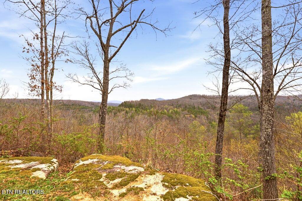 1159 Emory Heights Rd, Lancing, TN 37770
