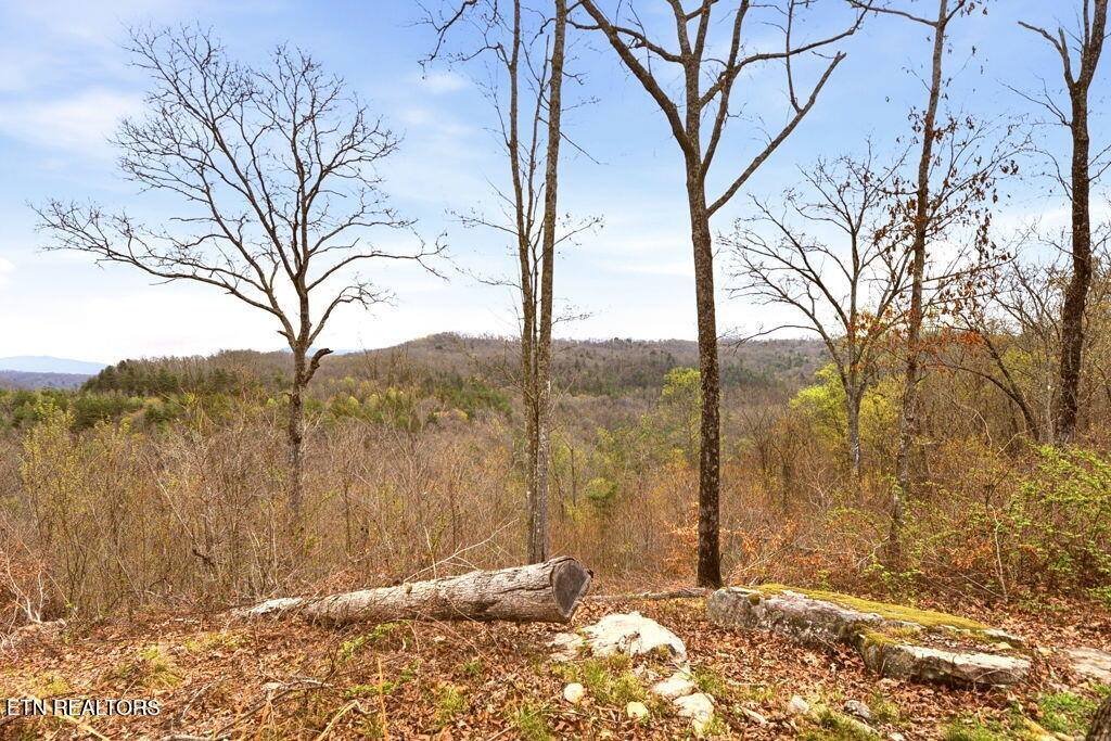 1159 Emory Heights Rd, Lancing, TN 37770