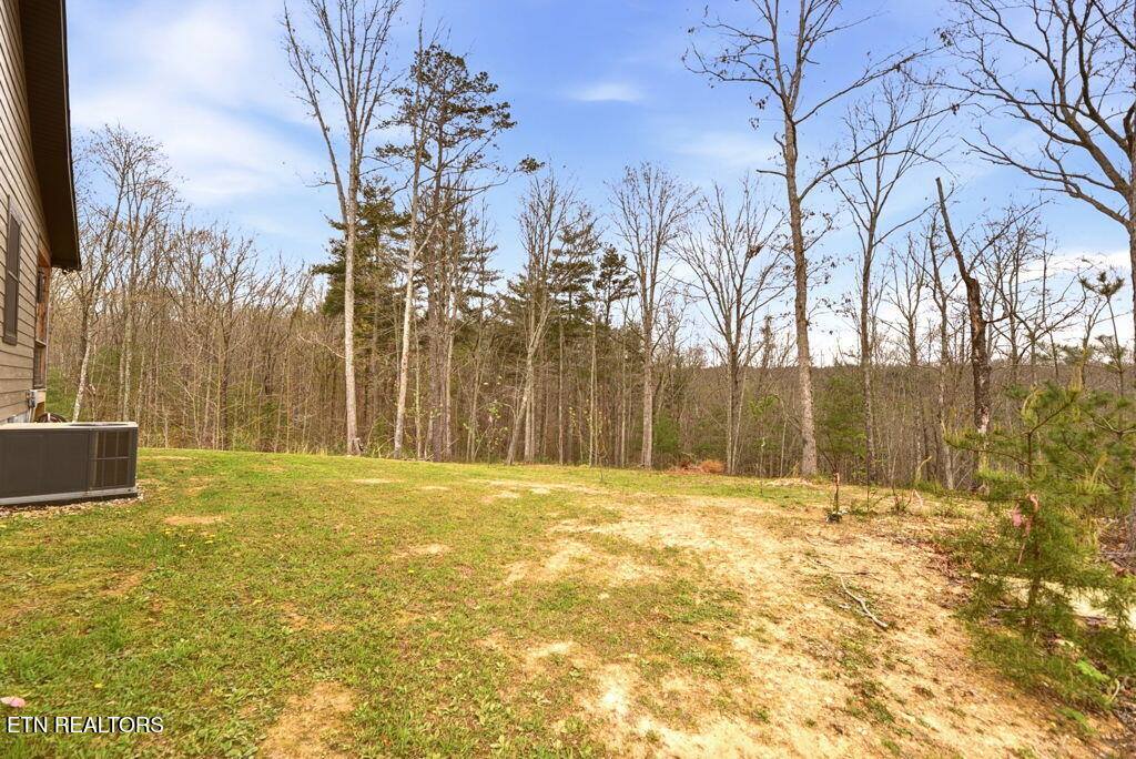 1159 Emory Heights Rd, Lancing, TN 37770