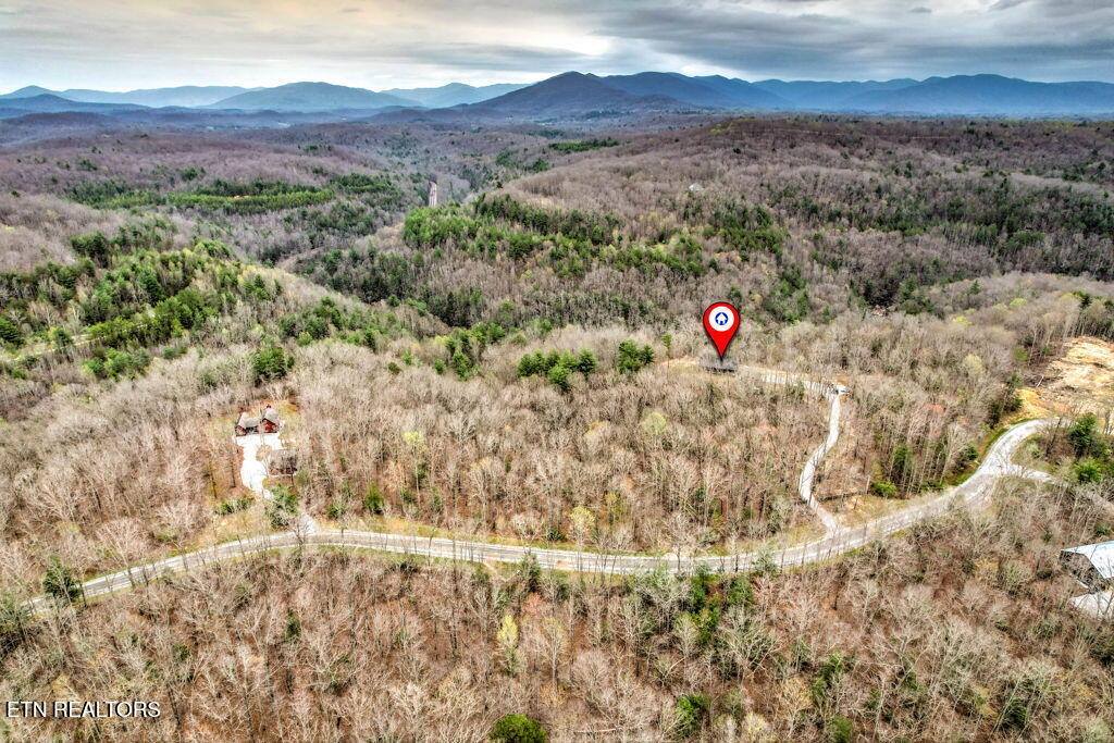 1159 Emory Heights Rd, Lancing, TN 37770