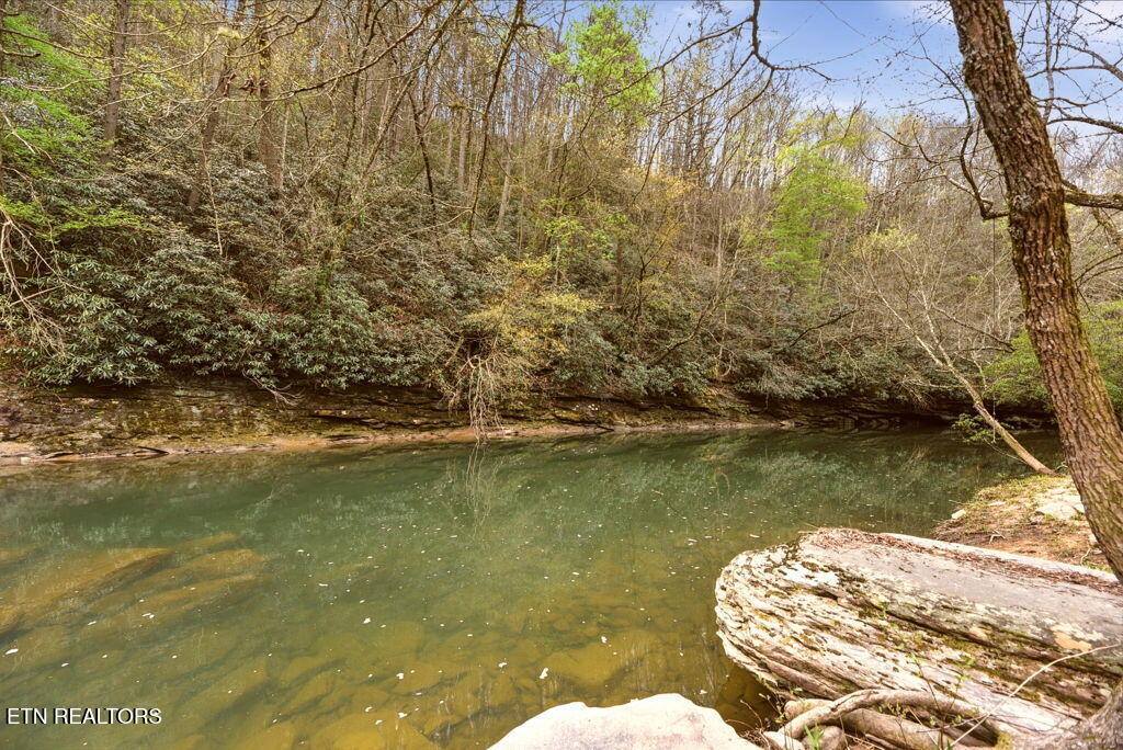 1159 Emory Heights Rd, Lancing, TN 37770