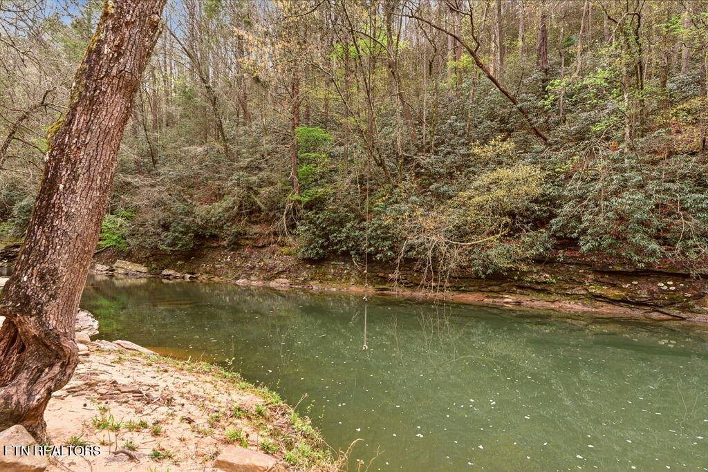 1159 Emory Heights Rd, Lancing, TN 37770