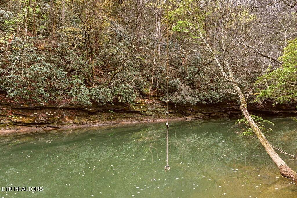 1159 Emory Heights Rd, Lancing, TN 37770