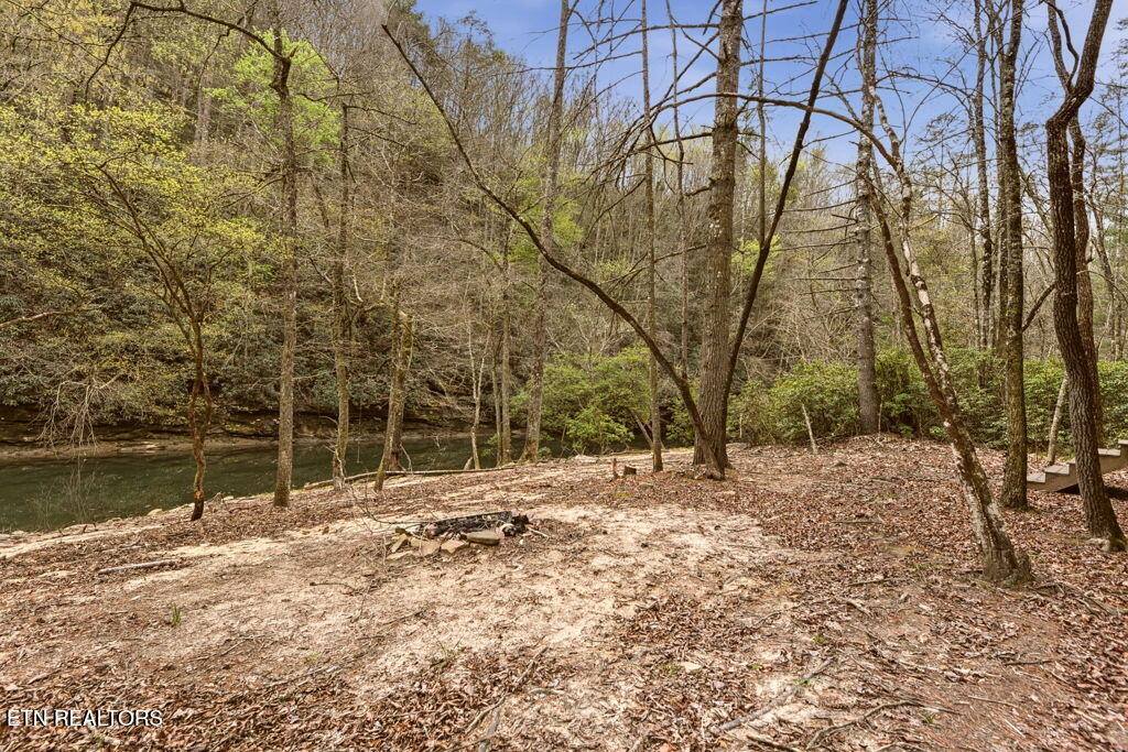 1159 Emory Heights Rd, Lancing, TN 37770