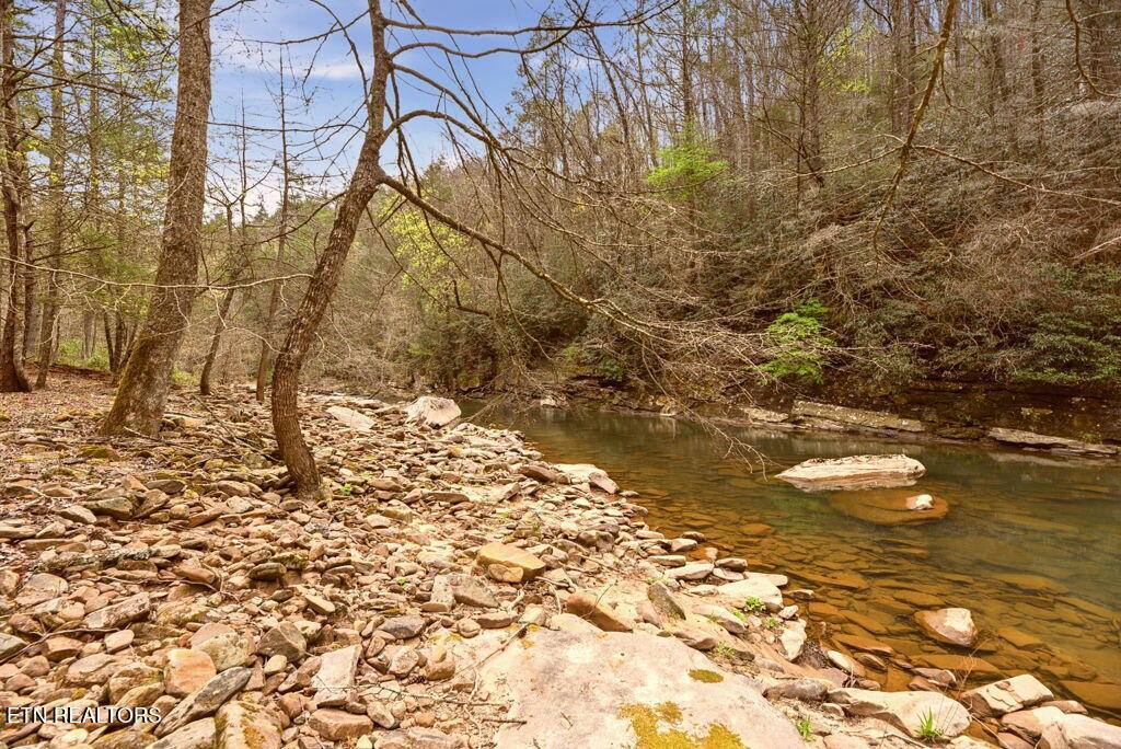 1159 Emory Heights Rd, Lancing, TN 37770