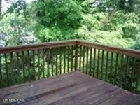 1234 Park Hill, Knoxville, TN 37909