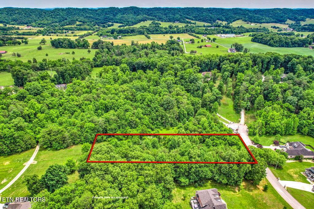 Stone Ridge Drive, Andersonville, TN 37705