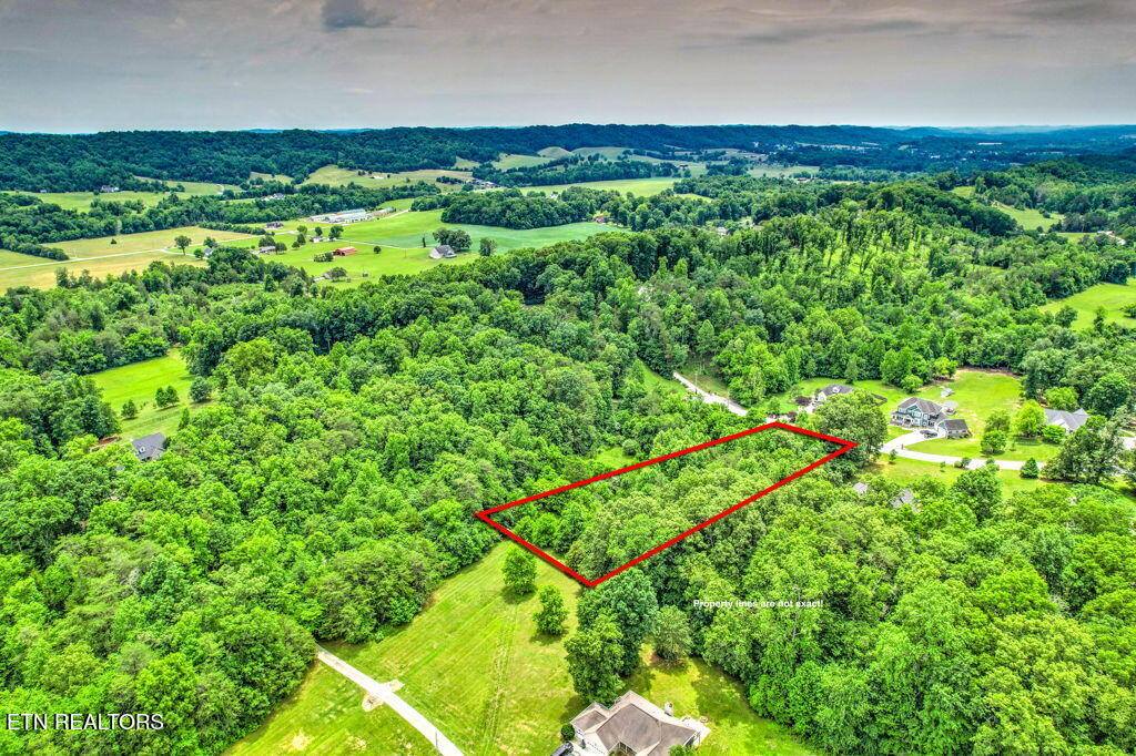 Stone Ridge Drive, Andersonville, TN 37705