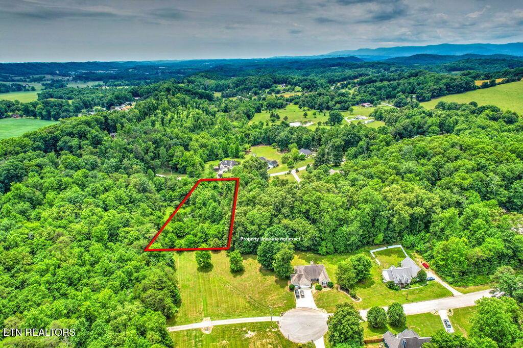 Stone Ridge Drive, Andersonville, TN 37705