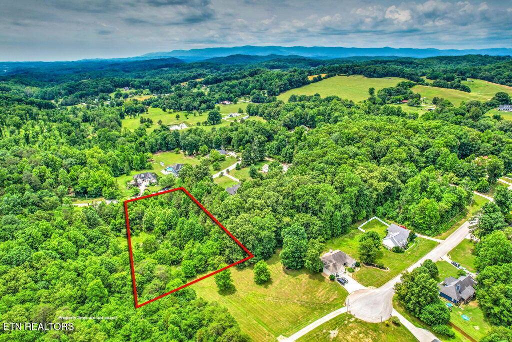 Stone Ridge Drive, Andersonville, TN 37705