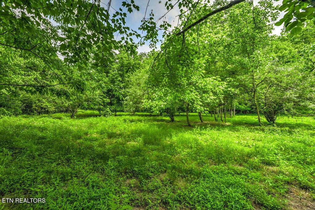 Stone Ridge Drive, Andersonville, TN 37705