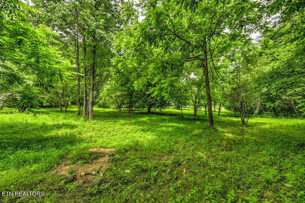 Stone Ridge Drive, Andersonville, TN 37705