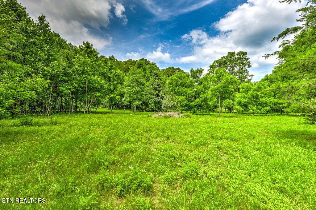 Stone Ridge Drive, Andersonville, TN 37705
