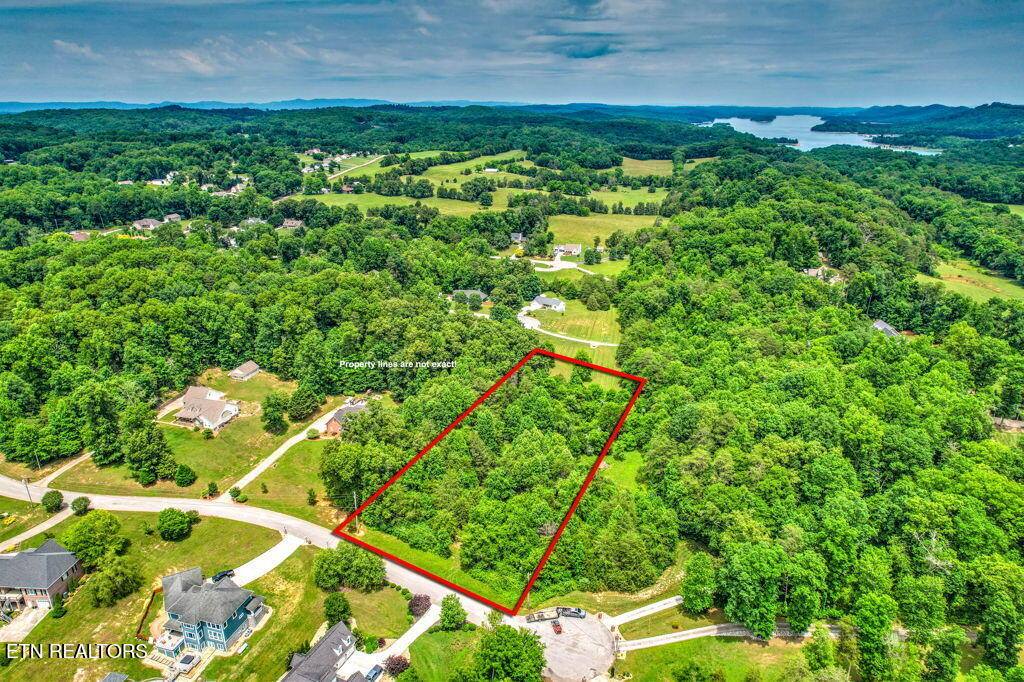 Stone Ridge Drive, Andersonville, TN 37705