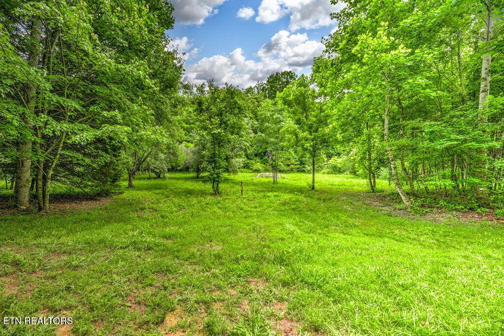 Stone Ridge Drive, Andersonville, TN 37705